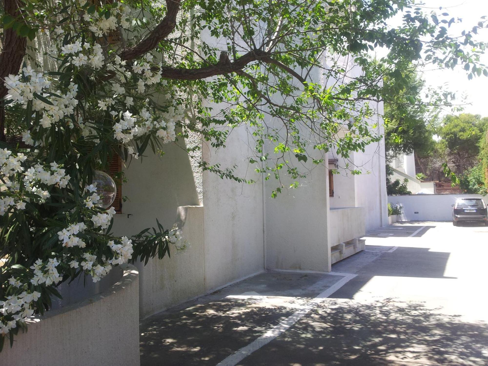 Residence Orsa Minore Gallipoli Εξωτερικό φωτογραφία